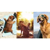 Dog Goggles UV Sunglasses Windproof Snowproof Soft Frame Glasses Eyes Protectionat
