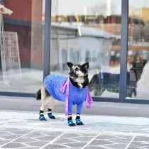 Dog Shoes 4PCS Waterproof Non-Slip Socks with Rubber Bottom