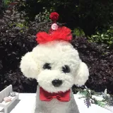 Pet Birthday Adjustable Lace Hat and Bow Tie Set