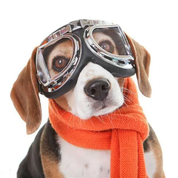 Dog Goggles UV Sunglasses Windproof Snowproof Soft Frame Glasses Eyes Protectionat