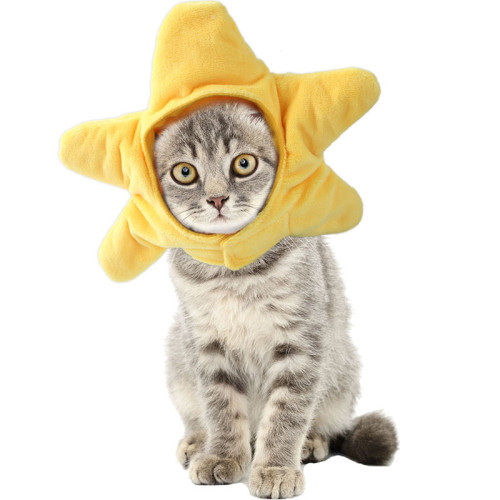 Pet Hat Cartoon Cap Flower Star Styles Party Headwear For Cat Dog