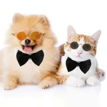 Pet Flash Sunglasses Round Metal Frame With Anti-Slip Strap For Dog Cat