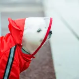 Pet Dog Raincoat Cute Bear Style Four-Legged Hooded with Reflective Strap