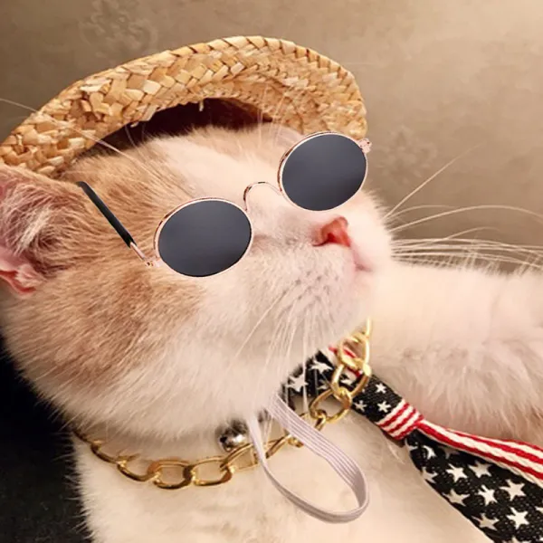 Pet Dog Cat Cool Black Sunglasses Gold Chain Collar Hat Necktie Costume Set