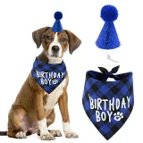Pet Birthday Party Supplies Hat and Boy Doggy Birthday Scarf Set with 0-8 Figures