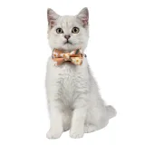 Flowers Bowknot Double Bow Removable Safety Clasp Pet Supplies Cat Collar