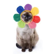 Pet Hat Cartoon Cap Flower Star Styles Party Headwear For Cat Dog
