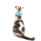 Pet Birthday Cake Adjustable Hat Handmade Hat with Colorful Candles