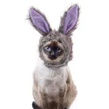 Pet Hat Cartoon Adjustable Cap Rabbits Ear Cosplay Easter Party Headwear For Cat Dog