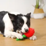 Angry Dolphin Fish Rubber Vocalation Interactive Molar Dog Toy