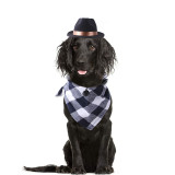 Pet Cowboy Adjustable Hat Funny Costume Accessory With Plaids Scarf