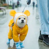 Pet Dog Raincoat Cute Cartoon Bee Dinosaur Four-Legged Hooded with Reflective Strap
