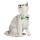 Flowers Bowknot Double Bow Removable Safety Clasp Pet Supplies Cat Collar