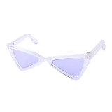 Pet Glasses Triangle Plastic Frame Personality Funny Glasses For Dog Cat