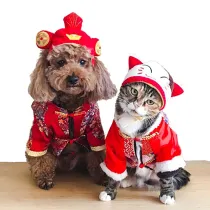 Pet Hats Cute Novelty Crown Adjustable Headwear Festival Costume for Cats Dogs