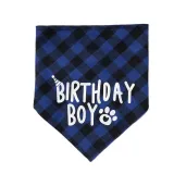 Pet Birthday Party Supplies Hat and Boy Doggy Birthday Scarf Set with 0-8 Figures