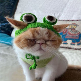 Pet Costume Cat Dog Hats Handmade Knitted Frog Hat
