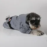 Dog Raincoats Full Body Noctilucence Hooded Waterproof with Reflective Strap Jacket