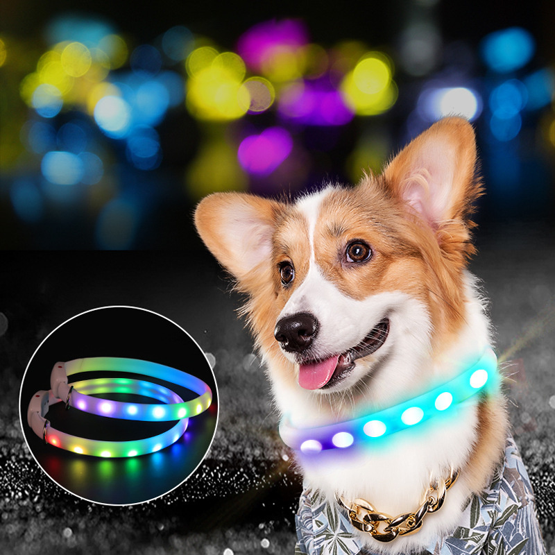 Glow Collar USB Charging Bow Removable Safety Clasp Pet Supplies Dog Collar