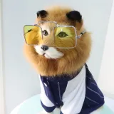 Pet Sunglasses Big Square Metal Frame Cute Costume Glasses For Dog Cat