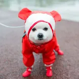 Pet Dog Raincoat Cute Bear Style Four-Legged Hooded with Reflective Strap
