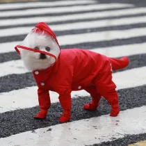 Pet Raincoat Dog Hoodies Onesie Waterproof Rain Jacket Rain Boots Jumpsuit Rain Poncho