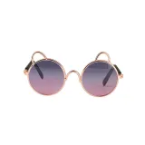 Pet Sunglasses Round Metal Cat Ear Frame Retro Flash Glasses For Dog Cat