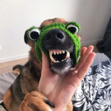 Pet Costume Cat Dog Hats Handmade Knitted Frog Hat