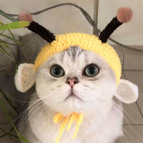 Pet Costume Adjustable Cat Dog Hats Handmade Knitted Bee Hat