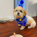 Pet Happy Birthday Boy And Girl Doggy Birthday Scarf