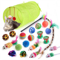 Pet Toy Cat Toy 21-Piece Set
