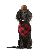 Pet Cowboy Adjustable Hat Funny Costume Accessory With Plaids Scarf