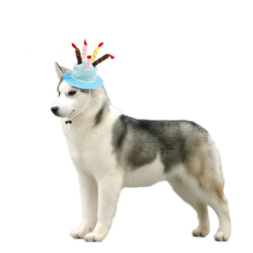 Pet Birthday Cake Adjustable Hat Handmade Hat with Colorful Candles