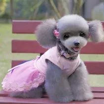 Pet Cat And Dog Dress San Francisco Slogan Bowknot Lace Skirt Summer Clothes