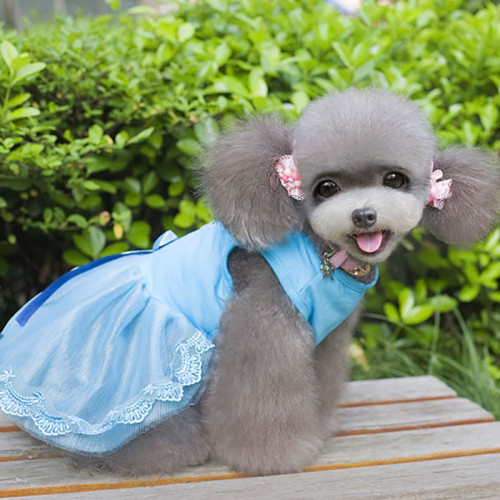 Pet Cat And Dog Dress San Francisco Slogan Bowknot Lace Skirt Summer Clothes
