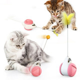 New Balance Swing Car Cat Self-Hi Toys Funny Cat Toys