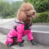 Dog Waterproof Raincoats Lightweight Hood Poncho Jacket with Reflective Strap