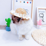 Pet Straw Sombrero Hat Pet Sun Lace Cap with Flowers
