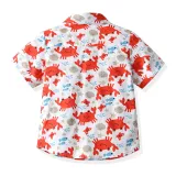 4PCS Boys Outfit Cartoon Crab Shirt and Khaki Shorts Dress Up