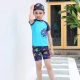 Kids Boy Swimsuit Short Sleeve Cartoon Dinosaur Beachwear Set With Cap