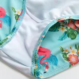 Toddler Girl Swimsuit Rainbow Unicorn Flamingo Ruffled Printing Bikini Set