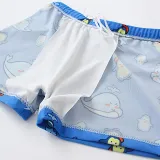 Boys Swim Trunks Cartoon Penguin Whale Quick Dry Elastic Waist Drawstring