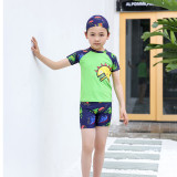 Kids Boy Swimsuit Short Sleeve Cartoon Dinosaur Beachwear Set With Cap