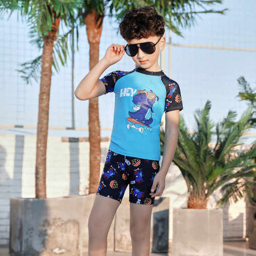 Kids Boy Swimsuit Short Sleeve Cartoon Dinosaur Beachwear Set With Cap