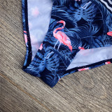 Toddler Girl 2PCS Swimsuit Flamingo Printing Stripe Bikini Beachwear