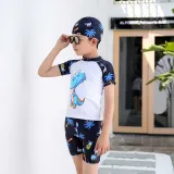 Kids Boy Swimsuit Short Sleeve Cartoon Dinosaur Beachwear Set With Cap