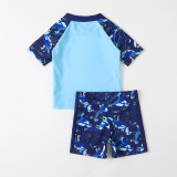 Toddler Boy Swimsuit Dinosaur Roar Short Beachwear Set