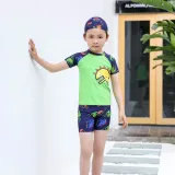 Kids Boy Swimsuit Short Sleeve Cartoon Dinosaur Beachwear Set With Cap