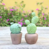 Cactus Simulation Resin Crafts For Gift