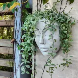 Girls Face Head Flower Planter Succulent Plant